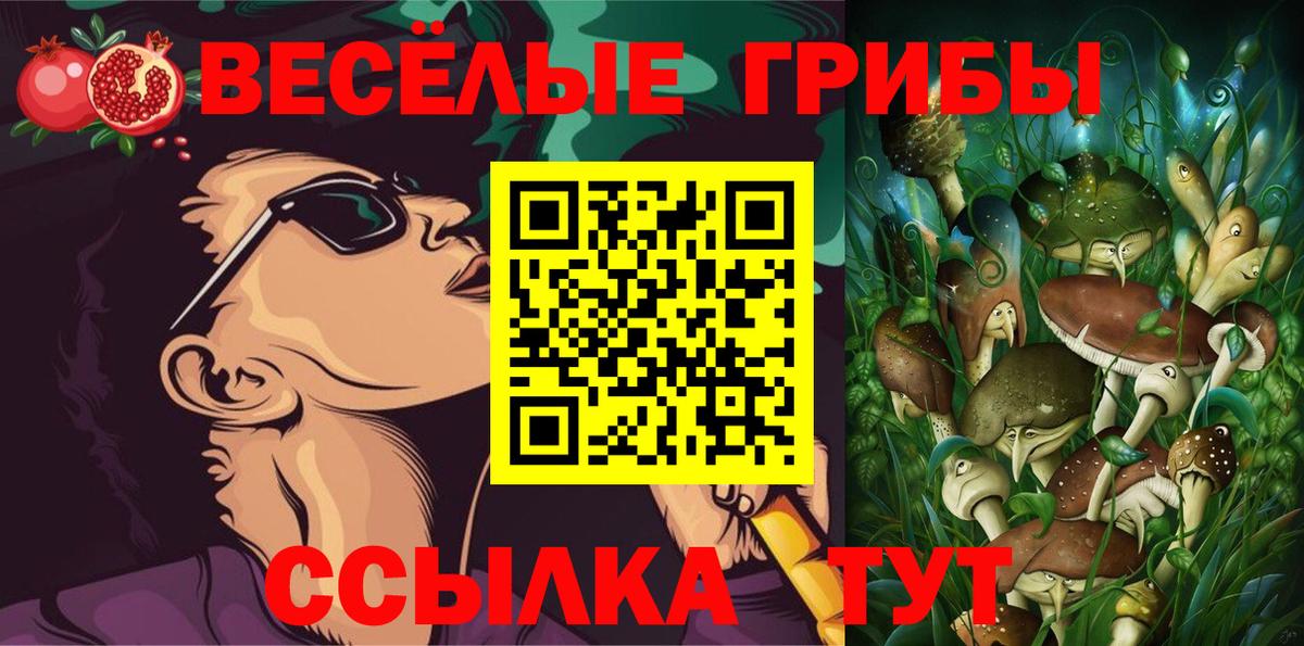 Псилоцибиновые грибы Cubensis  Вход с VPN  Бердск 