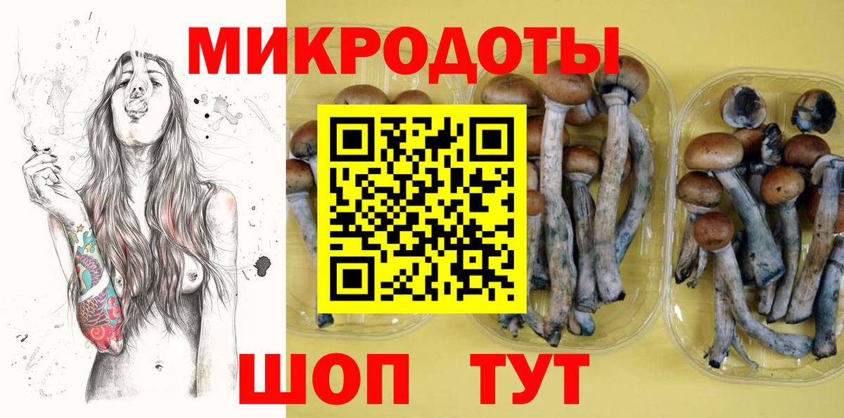 Псилоцибиновые грибы GOLDEN TEACHER Бердск